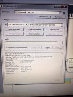 IMG_0265.jpeg